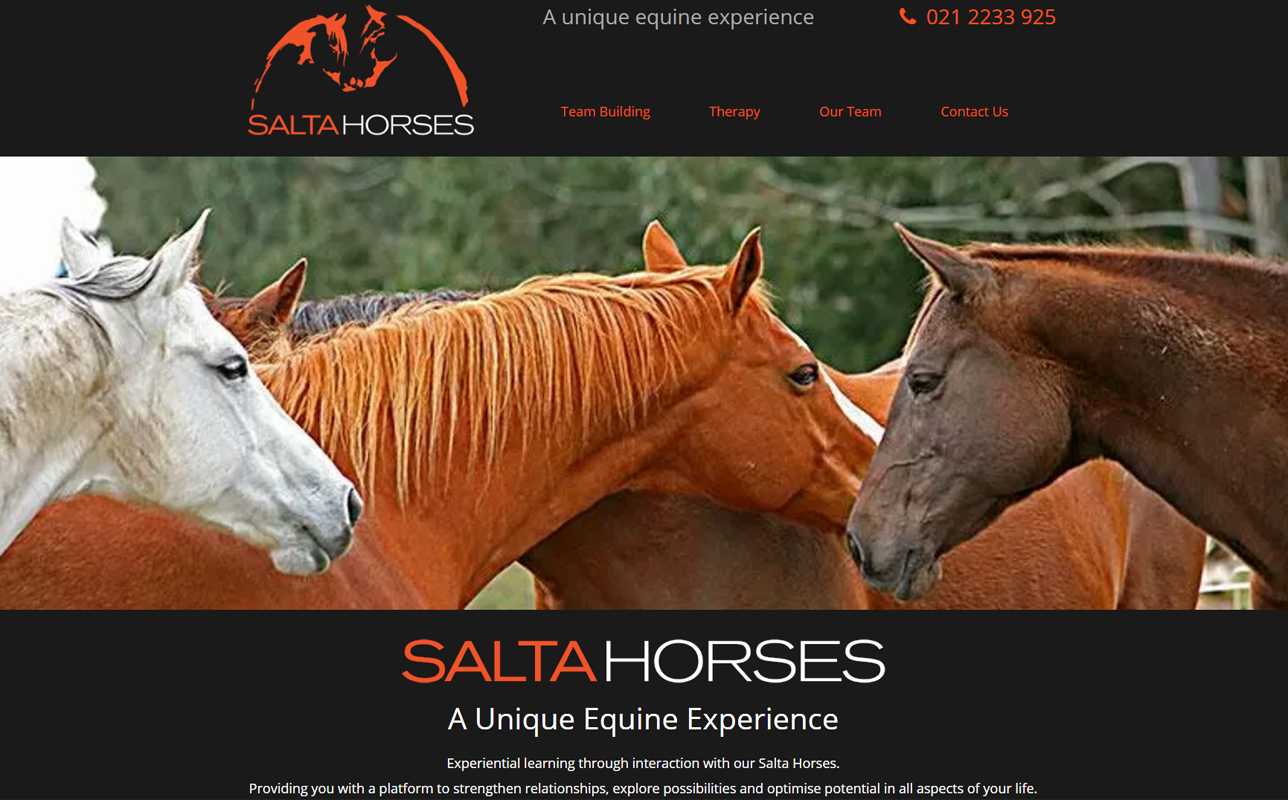 Salta Horses